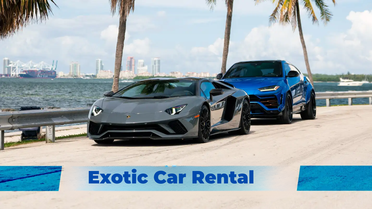 How Much Is Exotic Car Rental: A Complete Guide to Luxury Driving